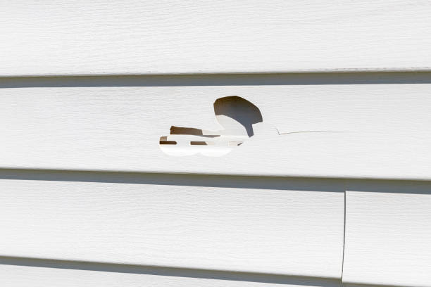 Best Custom Siding Design  in Billings, MT