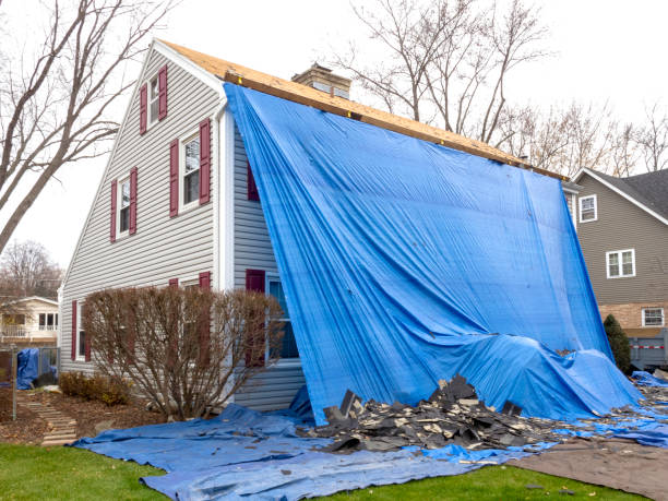 Best Storm Damage Siding Repair  in Billings, MT