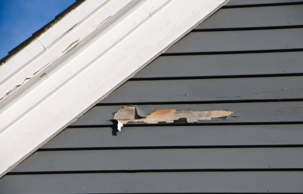 Best Fascia and Soffit Installation  in Billings, MT